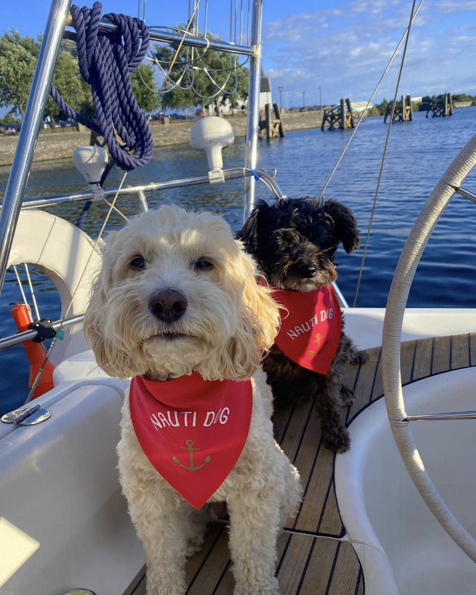 Poppy and Lily - @sailingdoodleswelsh