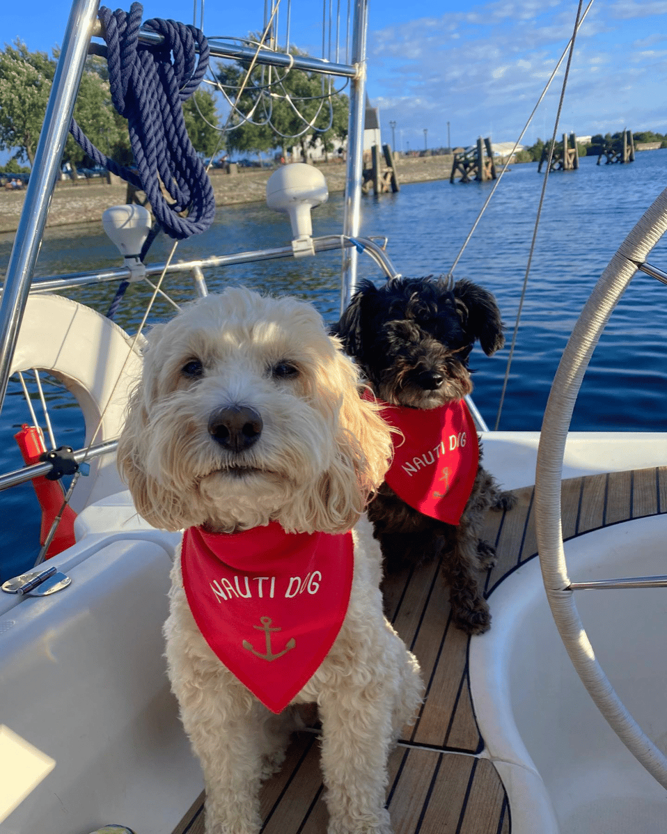 Poppy and Lily - @sailingdoodleswelsh