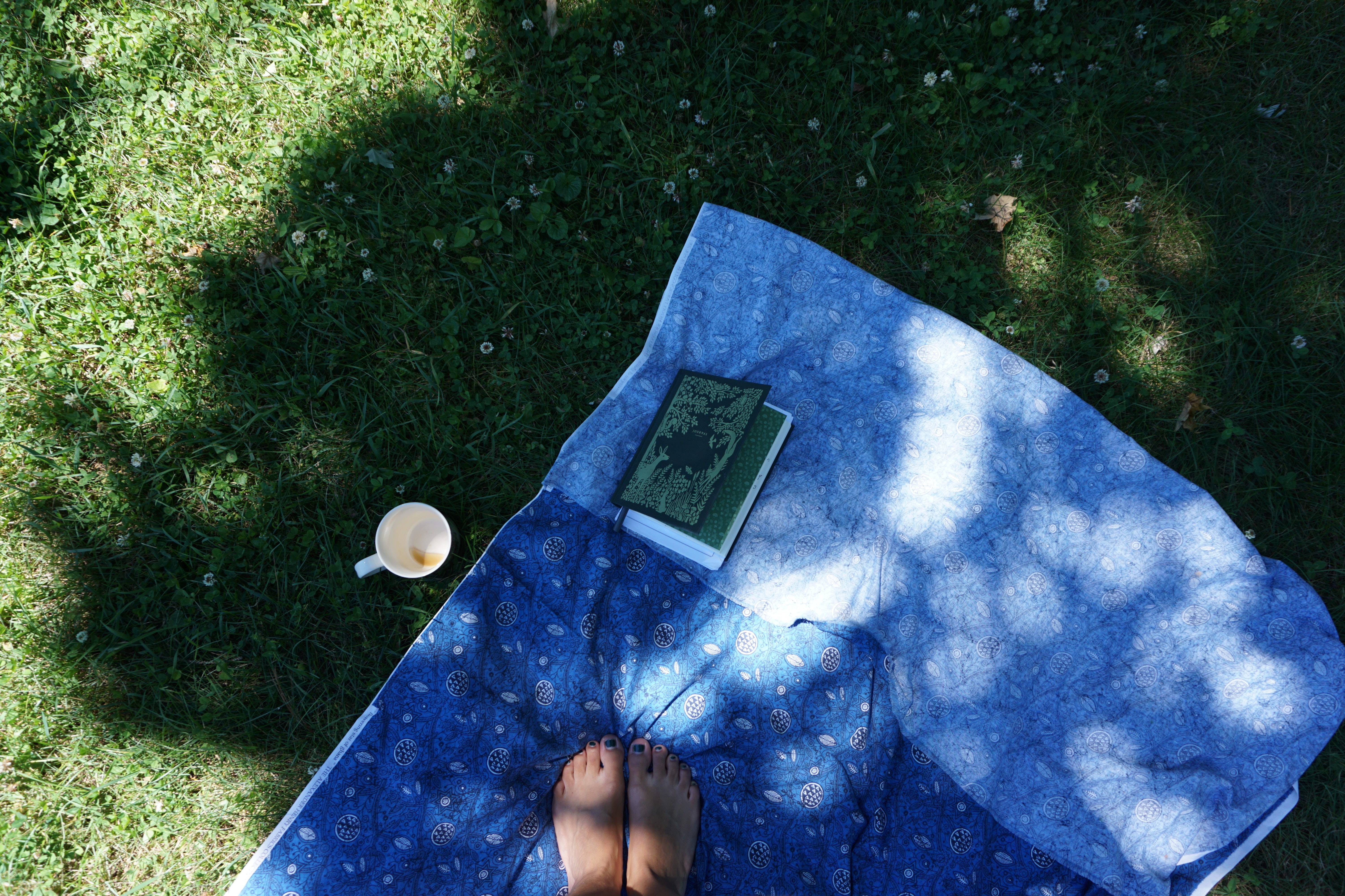 Blue blanket on grass