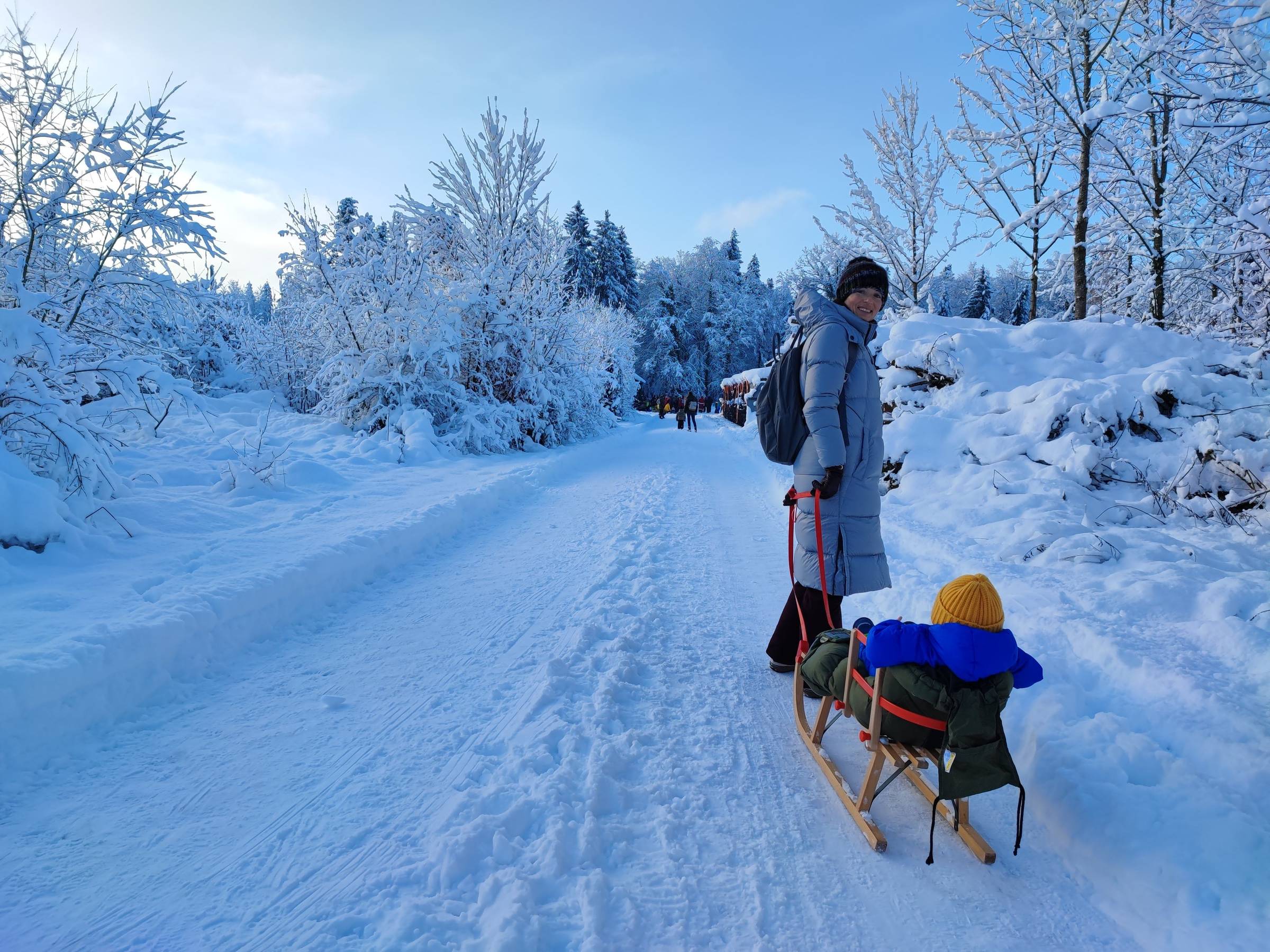 Winterzauber am Bodensee