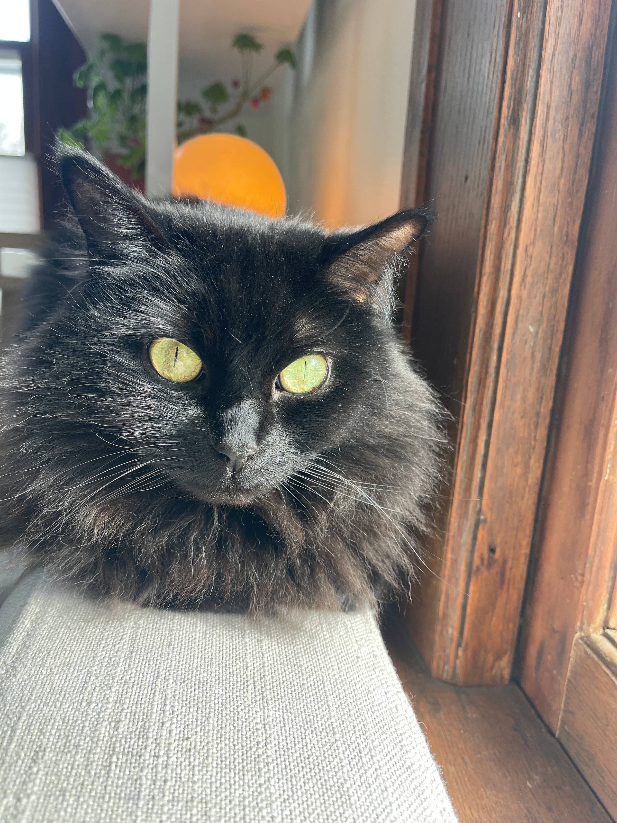 thumbnail placeholder