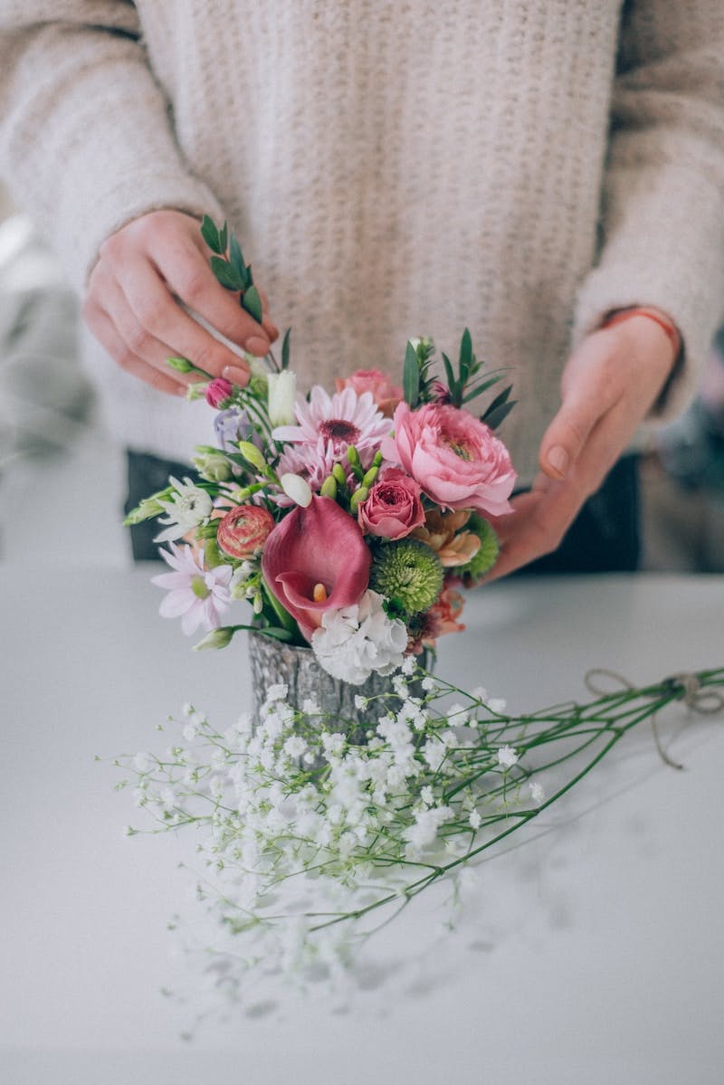 person holding pink and white flowers
