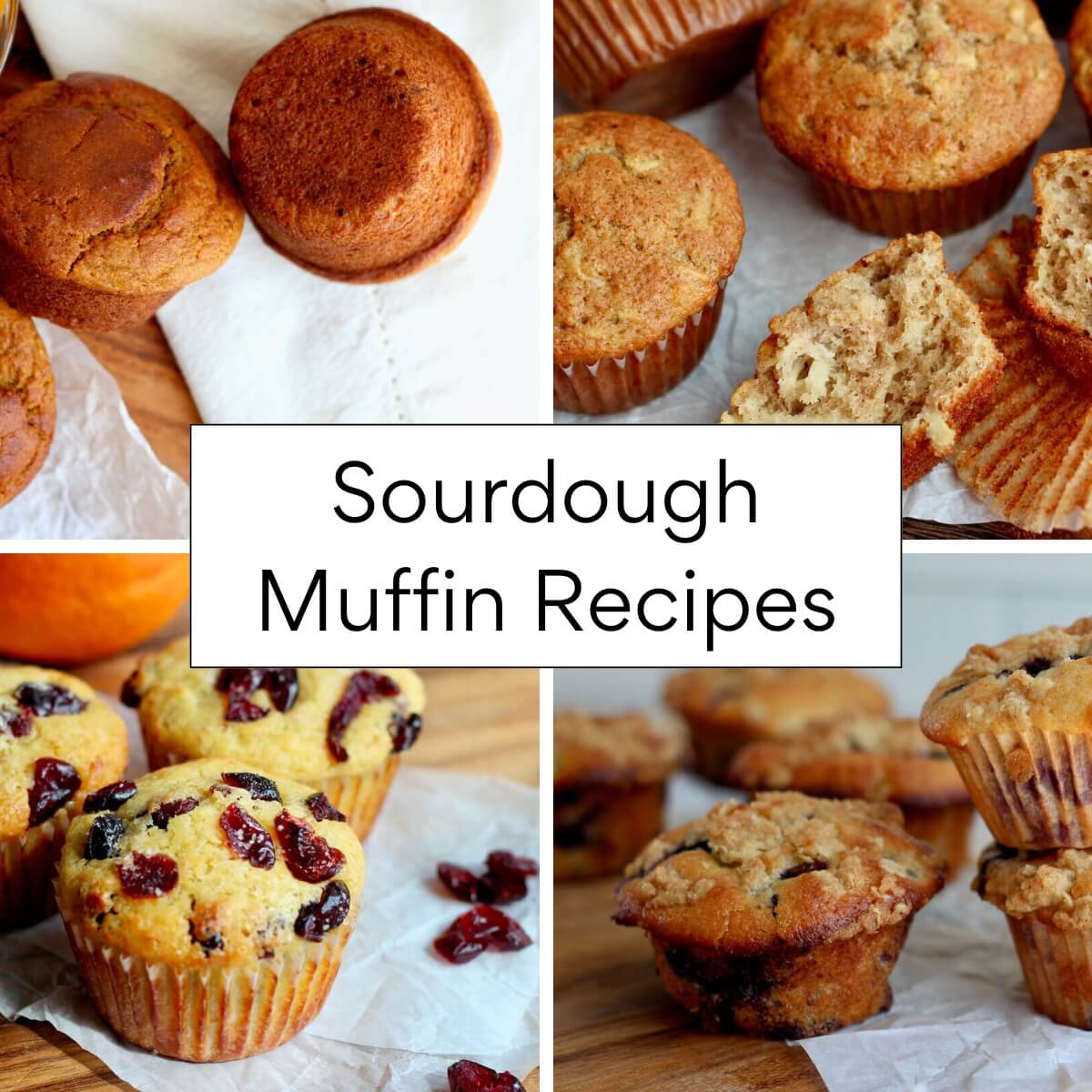 Four different images of muffins with a textbox in the center that reads "sourdough muffin recipes."