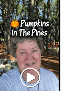 Pumpkin in the pines - pumpkin patches in northwest arkansas