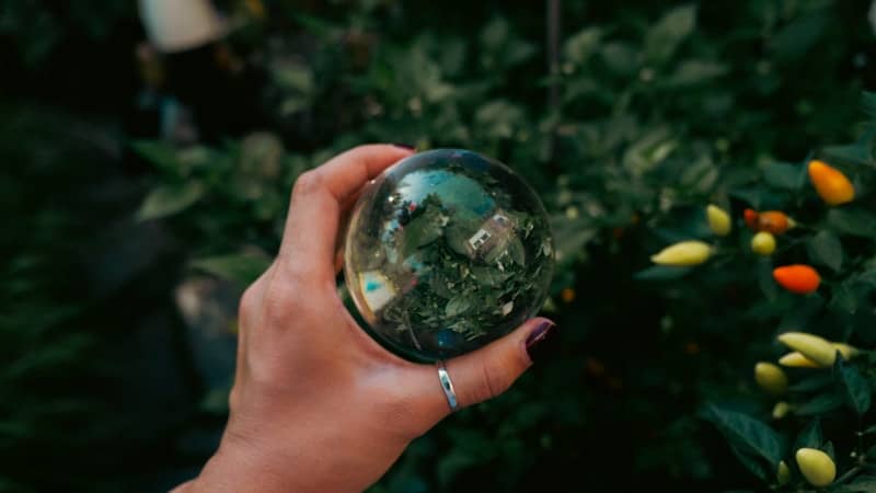 A hand holds a crystal ball reflecting greenery.