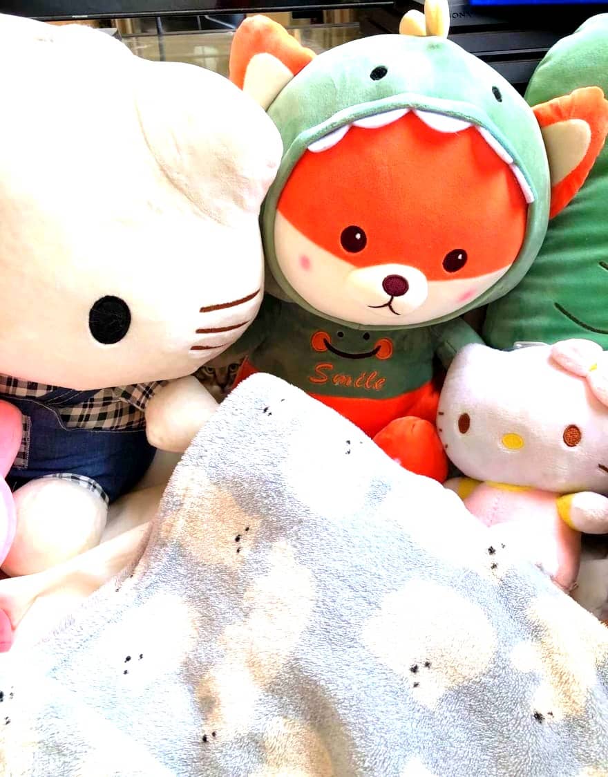 Scrimba Pets - Zant's cat hidden among plush toys