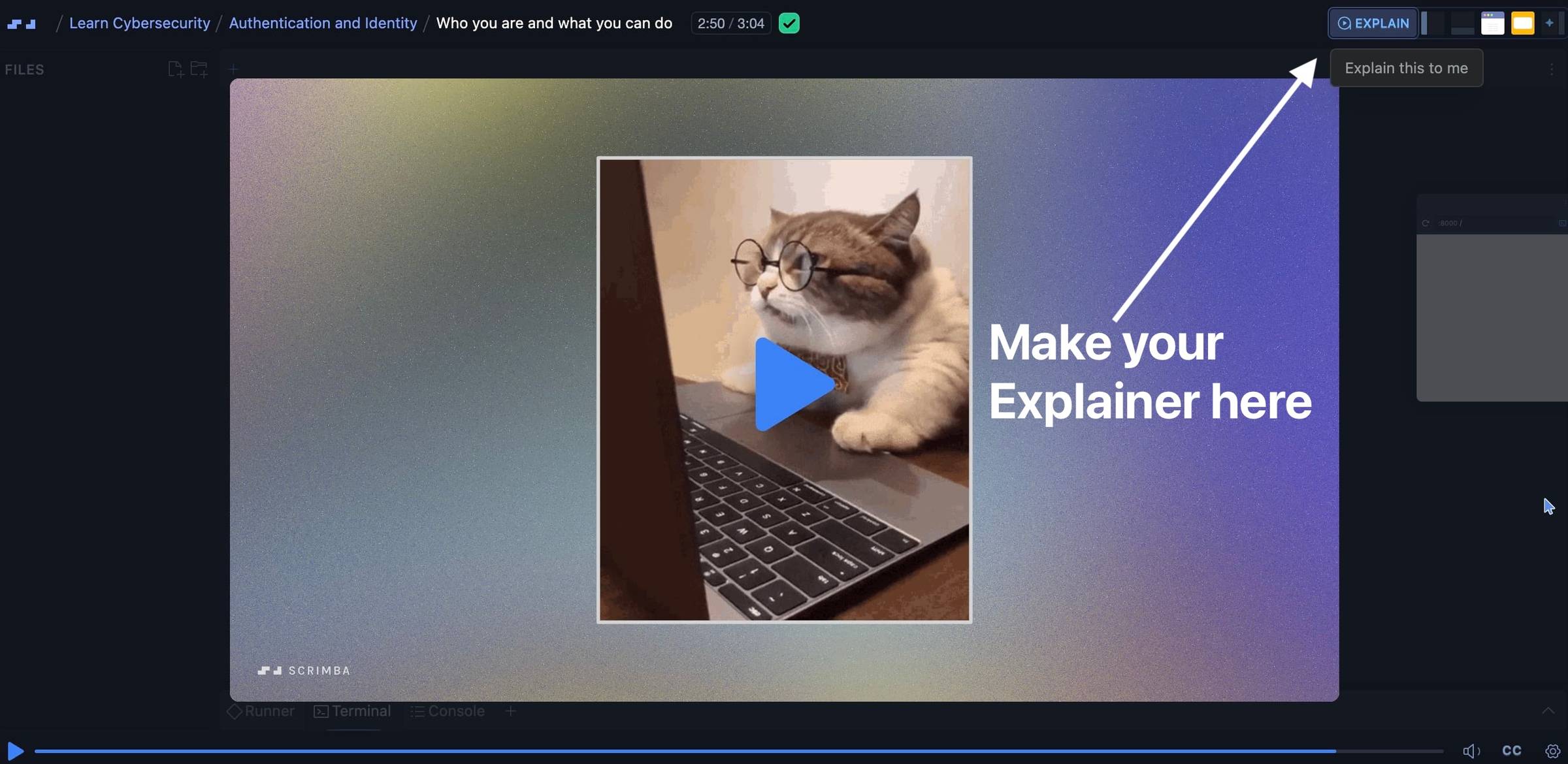 Scrim with a cat at a computer, with Explain button visible in the top right corner.