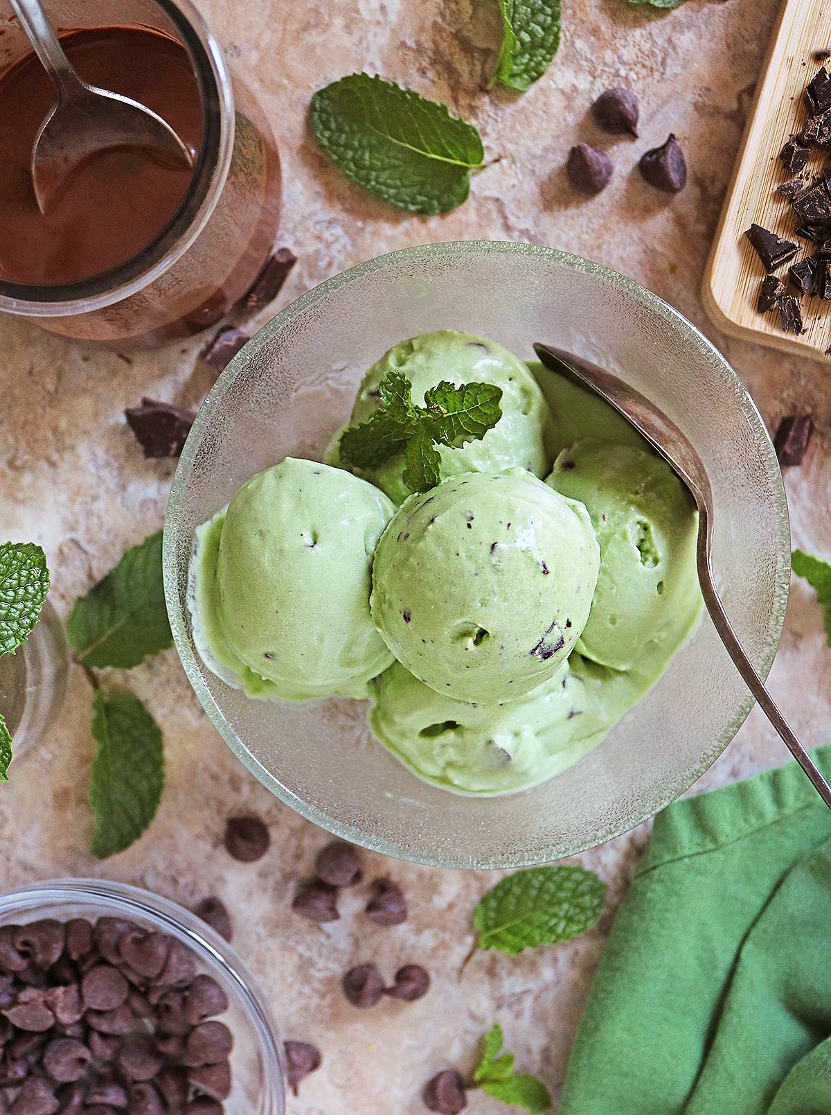 Dairy-Free Ninja Creami Mint Chocolate Chip Ice Cream