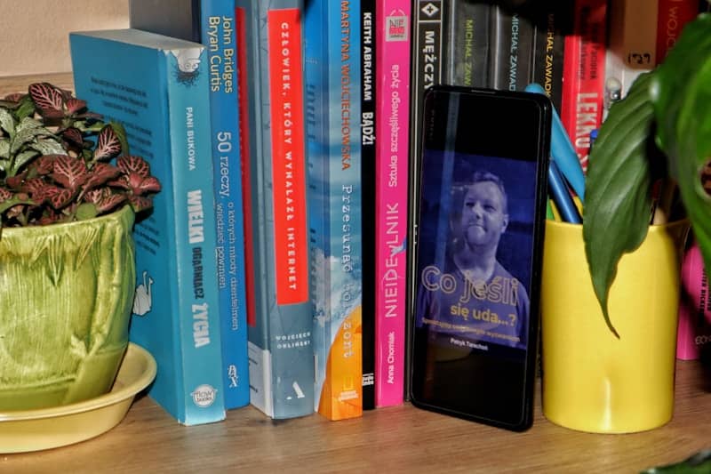 A potted plant sitting on top of a wooden table