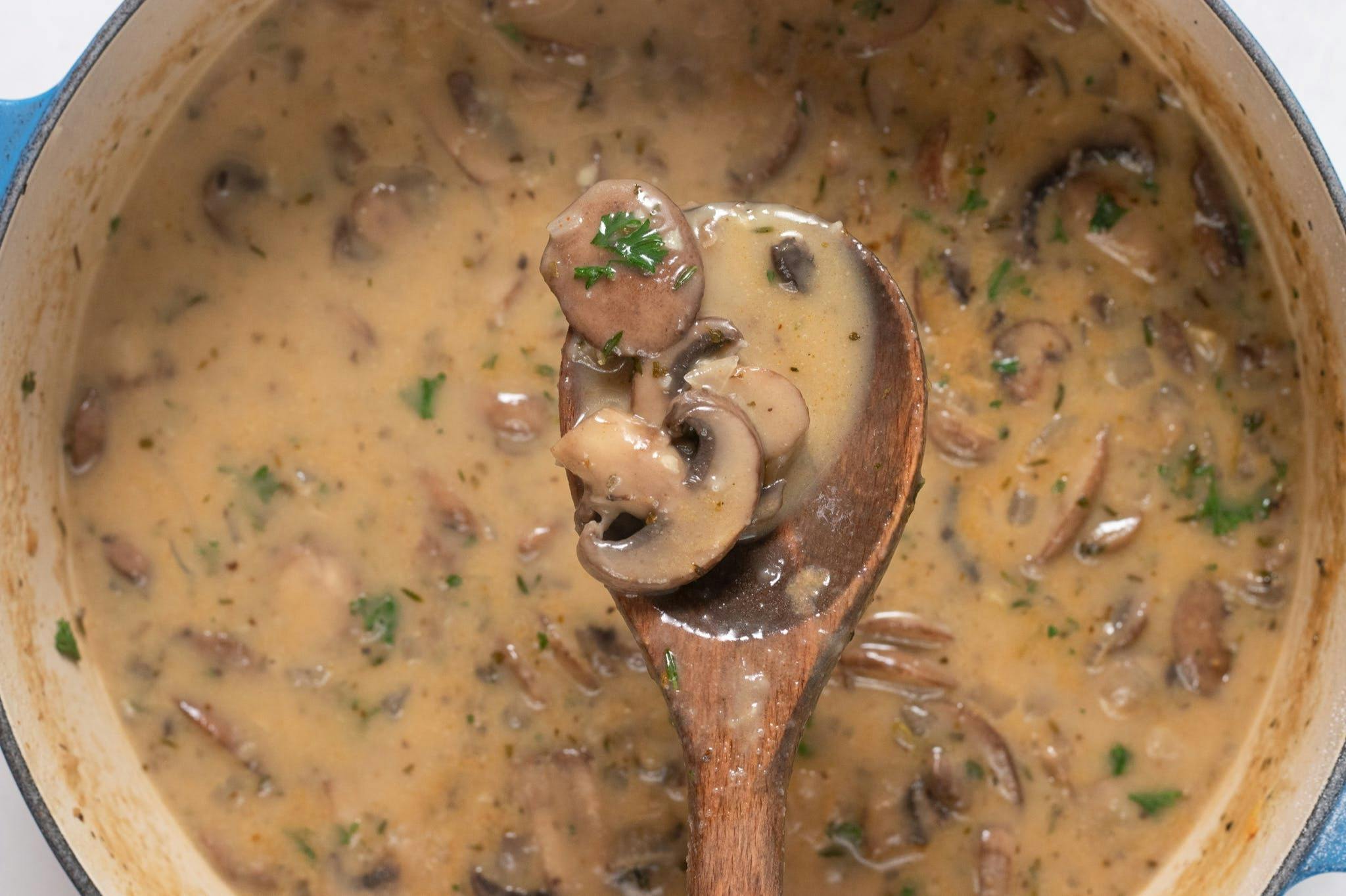 A spoon lifting mushroom soup out of a pot
