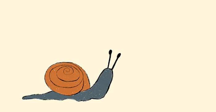 An illustration of a snail in colors of orange and gray on a cream-colored background.
