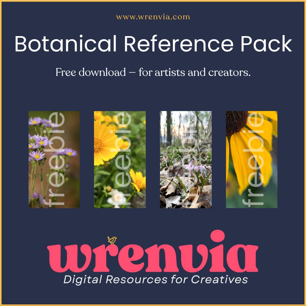 preview of 4 botanical images