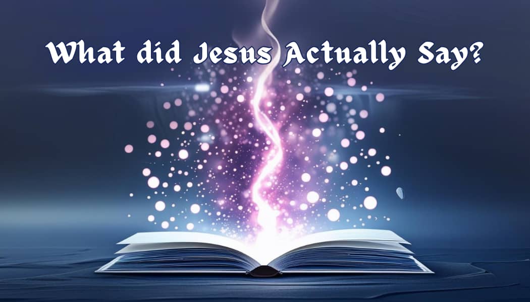 Cover of What Did Jesus Actually Say? Volume 1 by Edward Bevilacqua