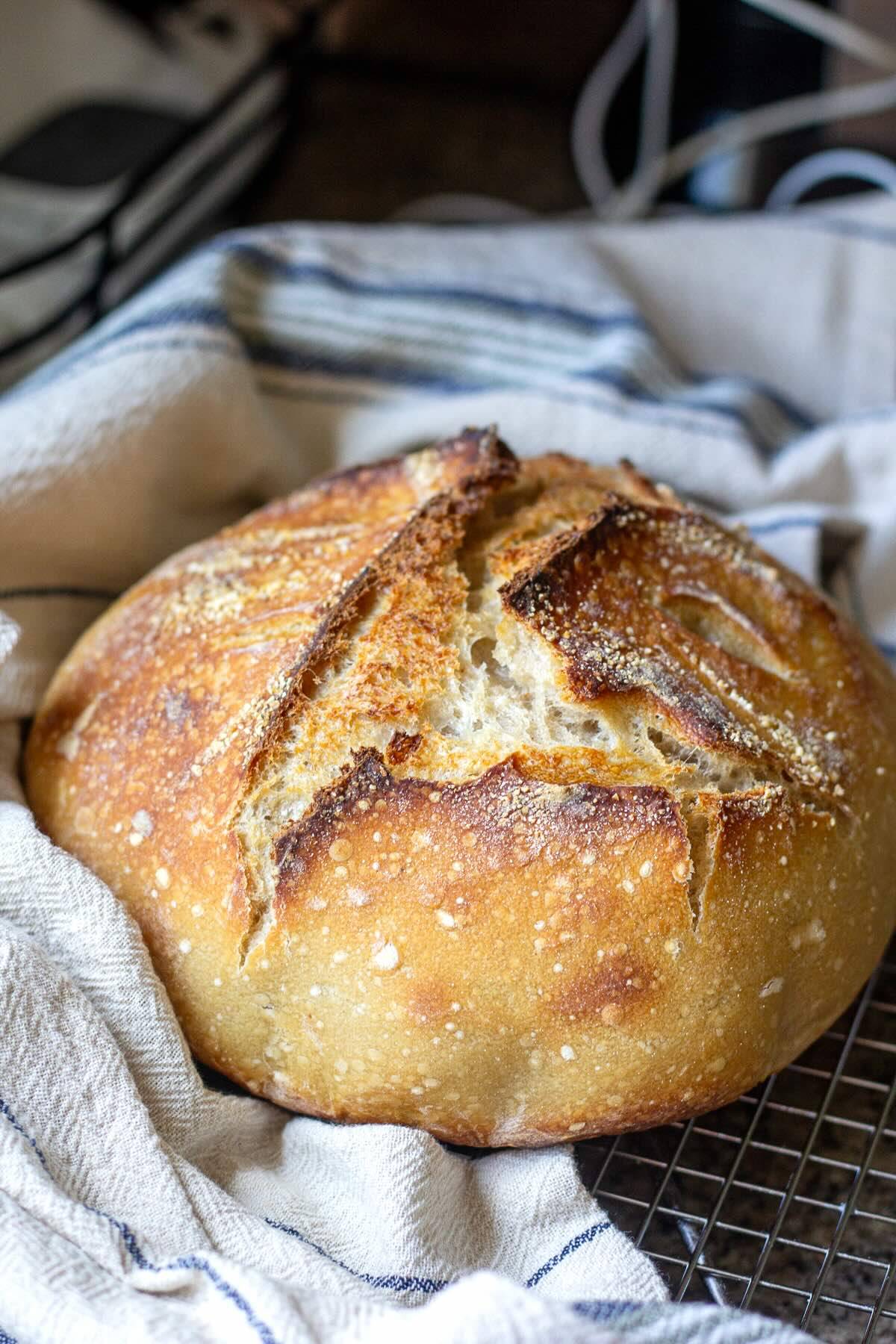 Freshly baked sourdough bread 