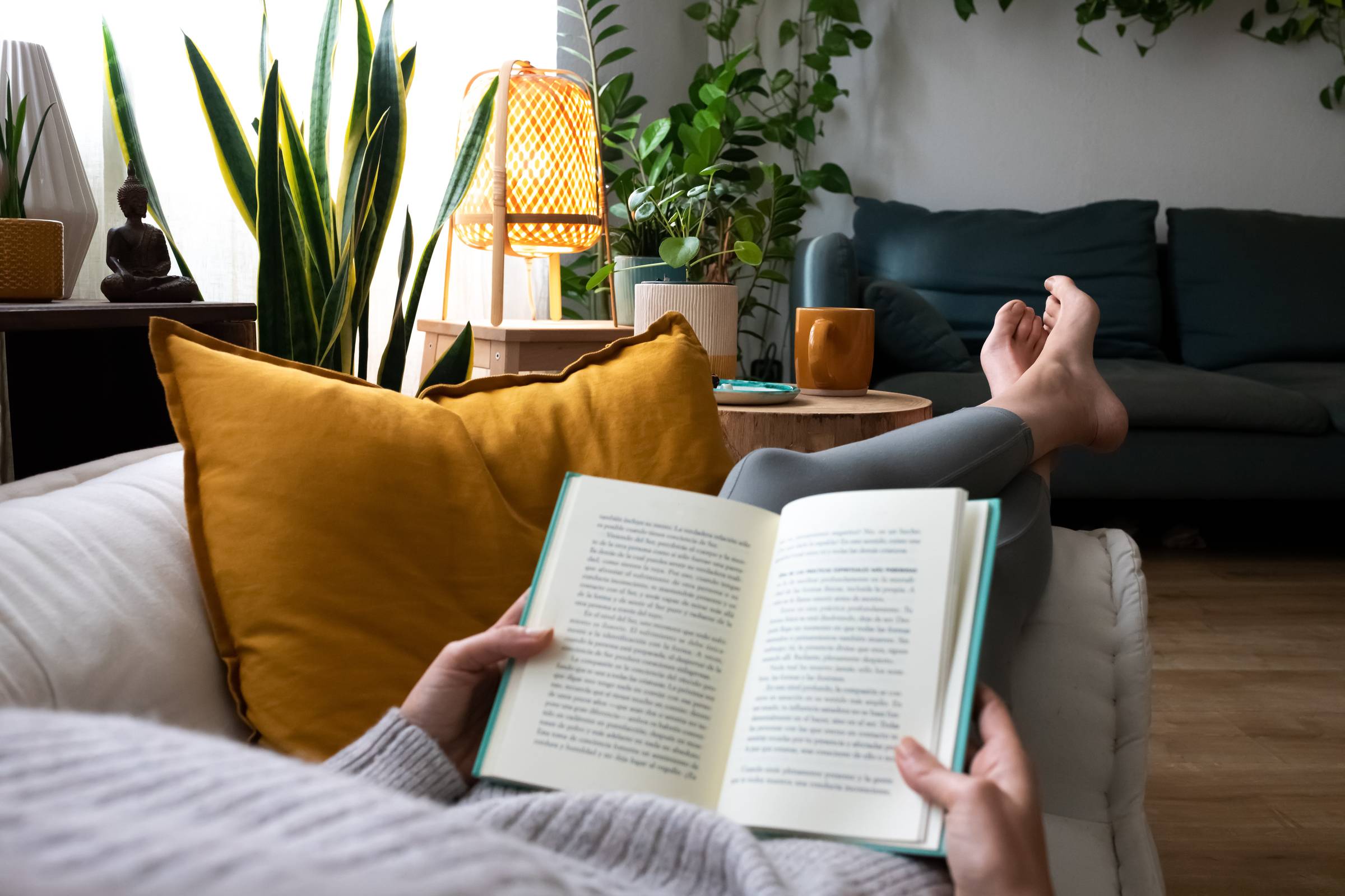 July 2026 Book Recommendations