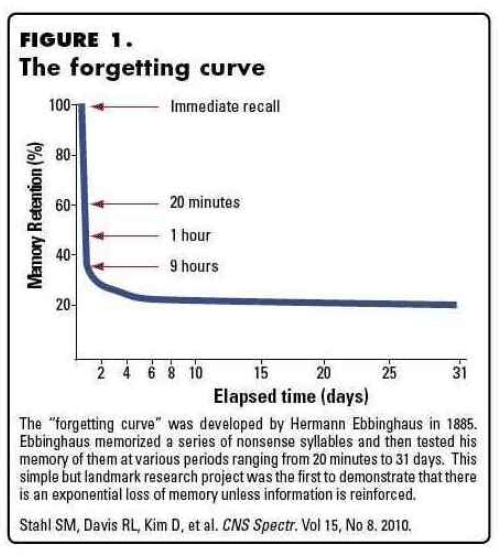 The forgetting curve 👹