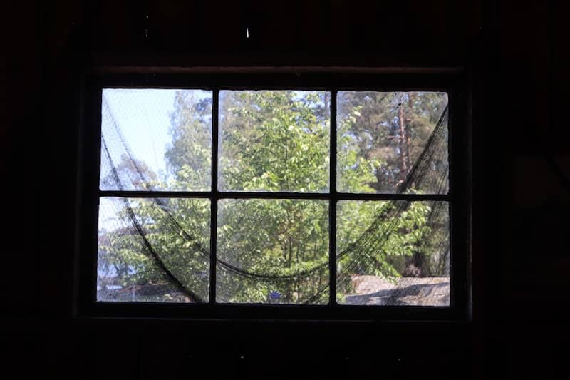 A window shows a bright view of outside greenery.