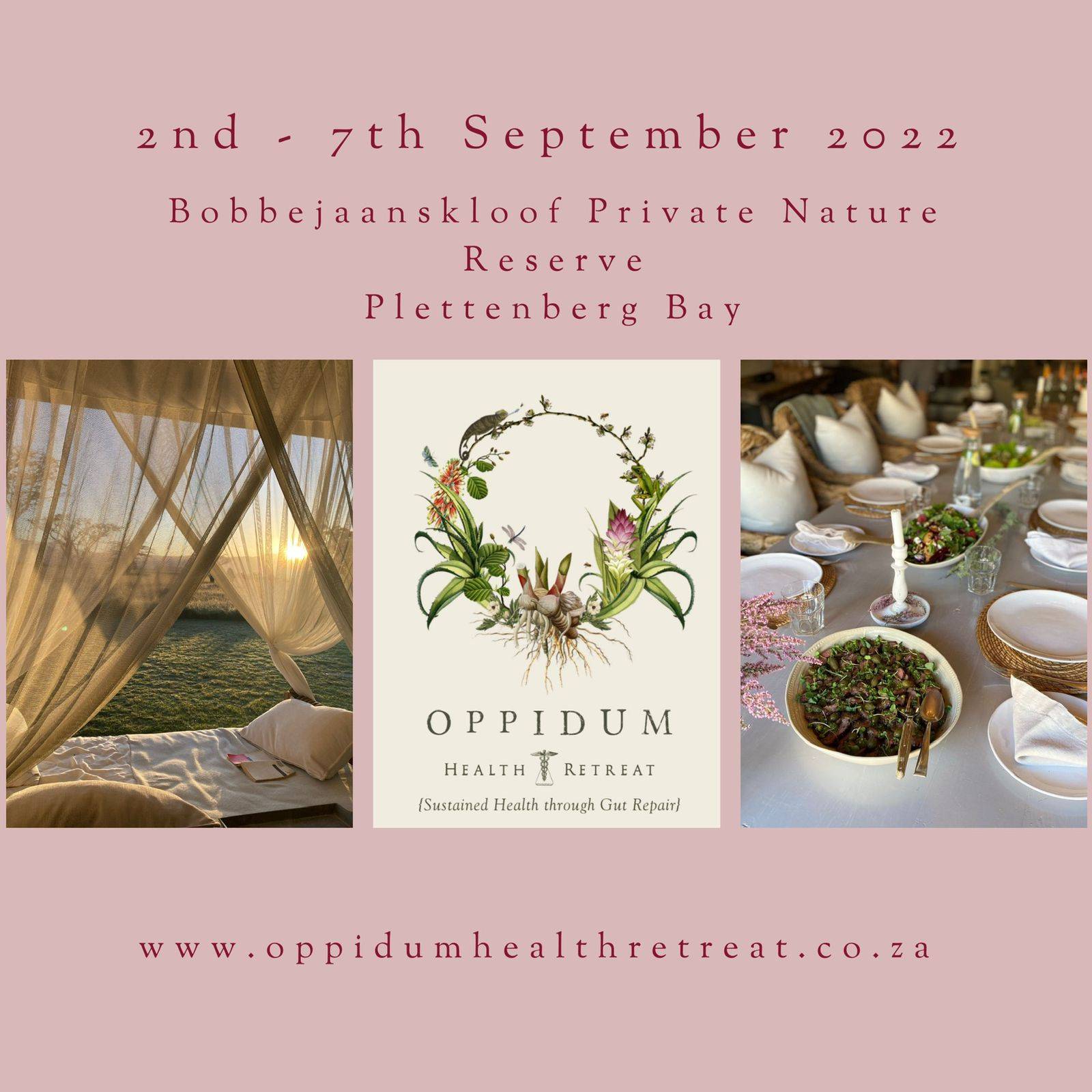 Gut Health Retreat Oppidum