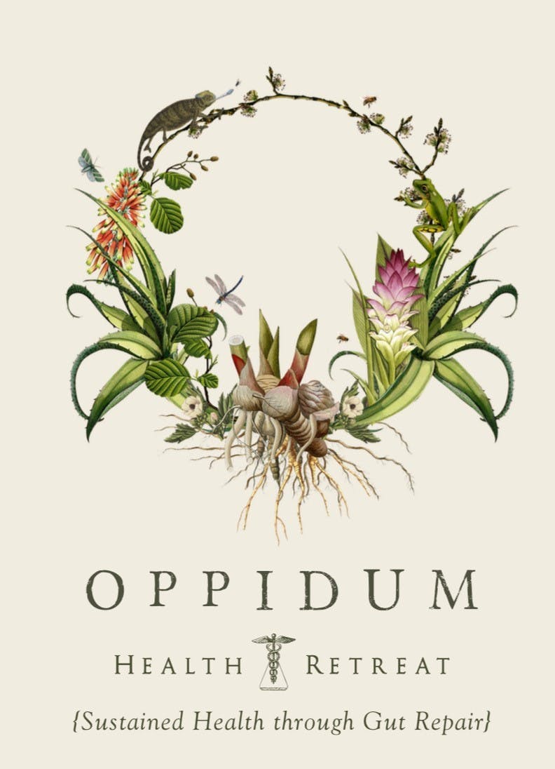 Oppidum Health Retreat