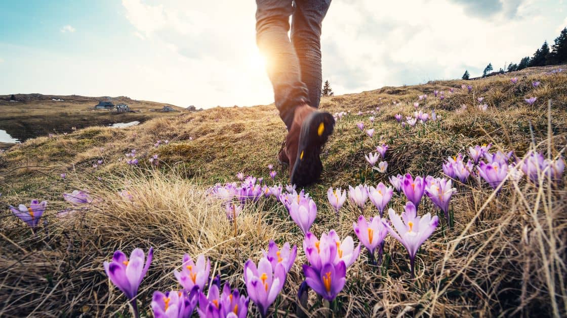 Finding Joy and Peace in Brain Health Challenges