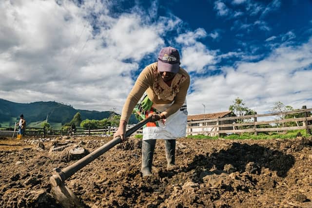 Cultivating Peace Beyond Our Understanding