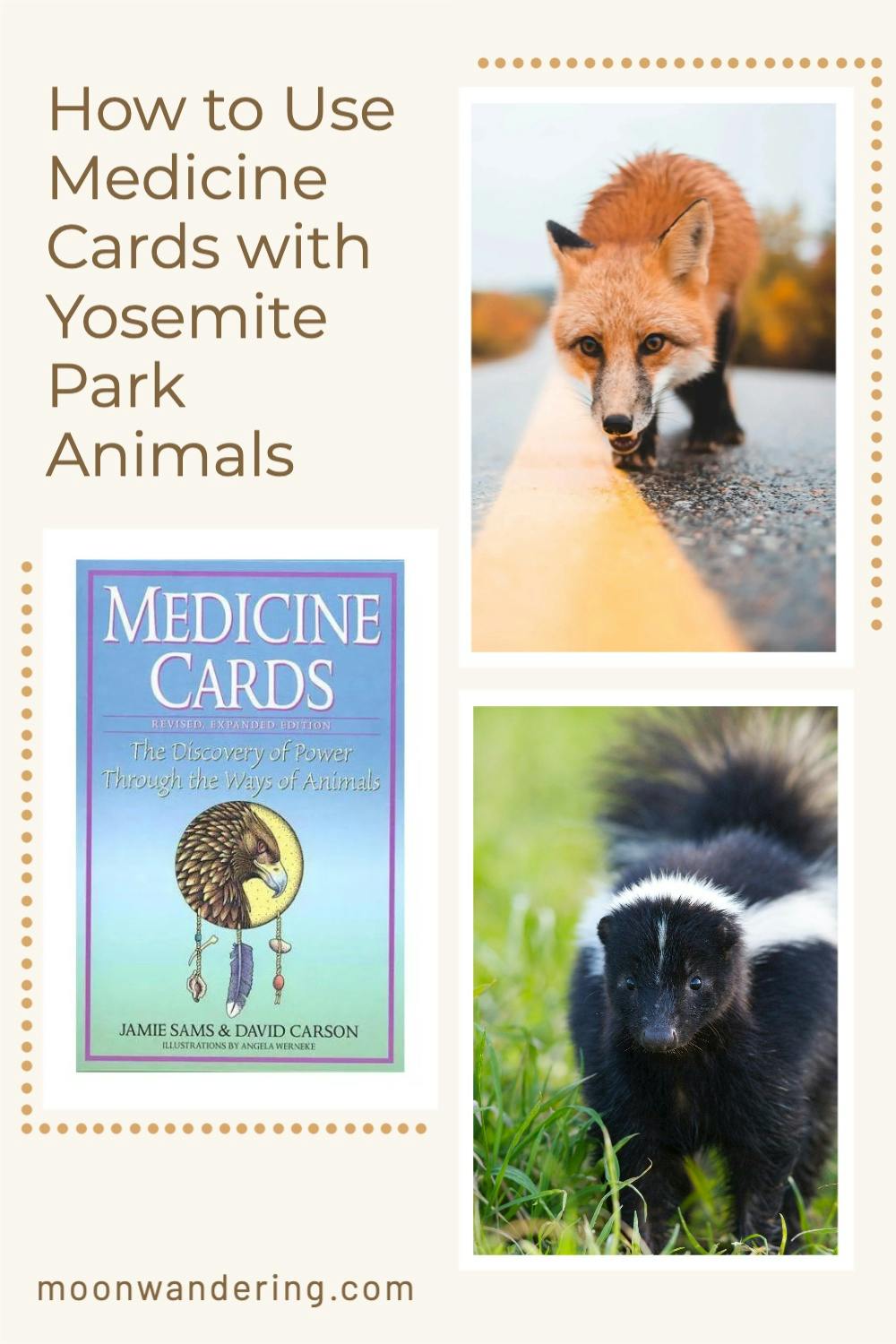 how to use medicine cards with yosemite park animals