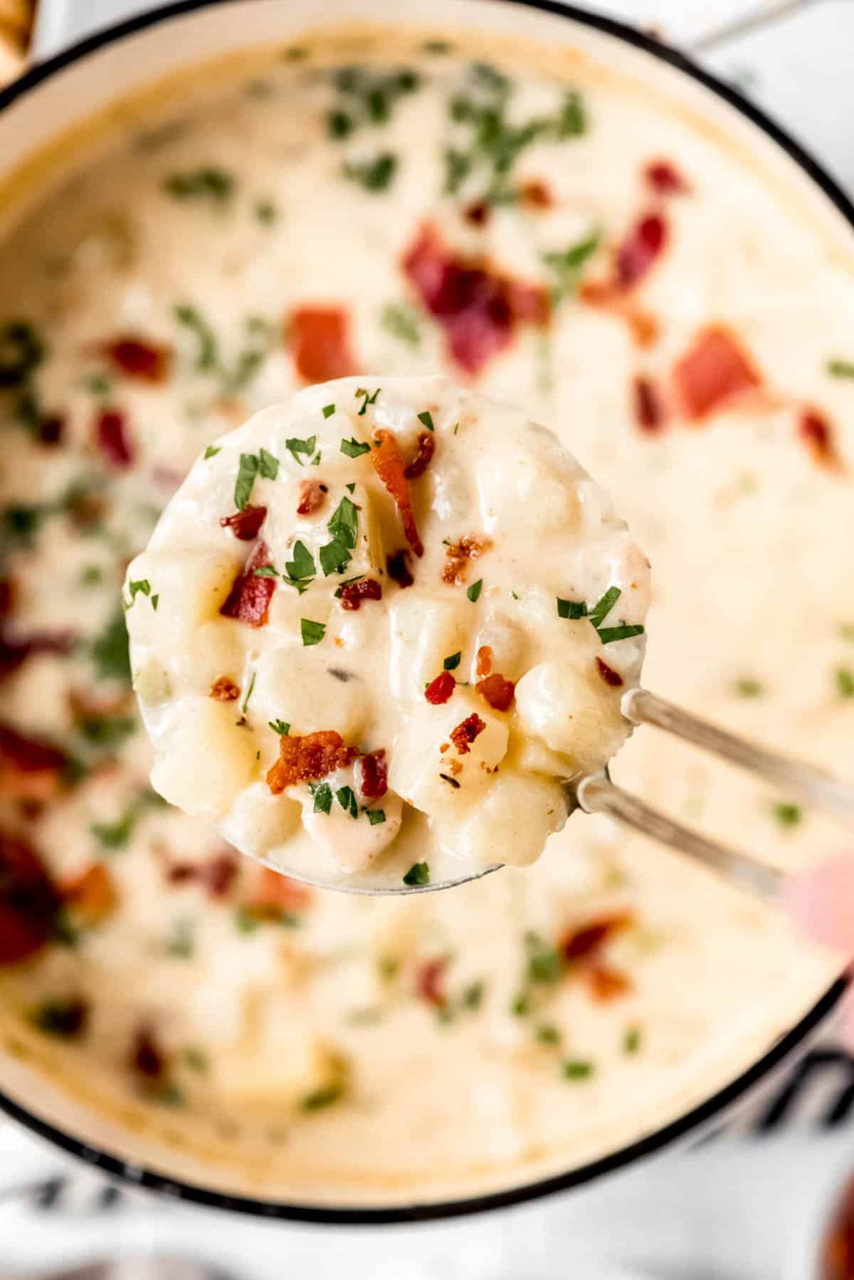 New England Clam Chowder in a bowl.