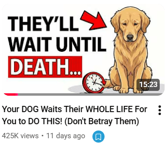 dog waiting