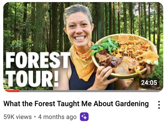 forest thumbnail