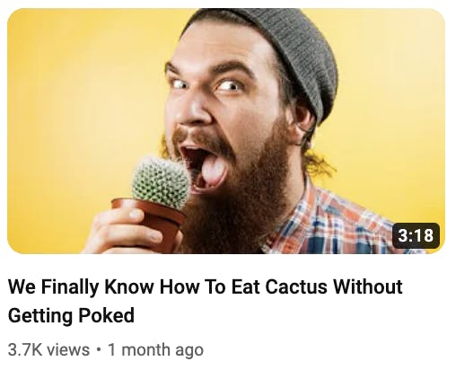 cactus thumbnail
