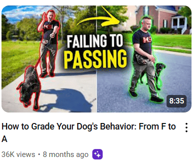pass or fail dog
