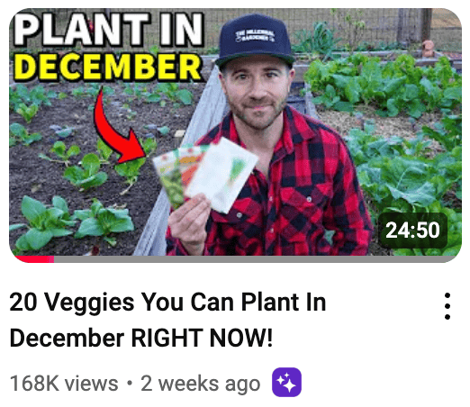 december veggies thumbnail