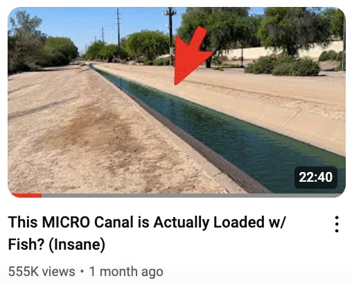 micro canal thumbnail