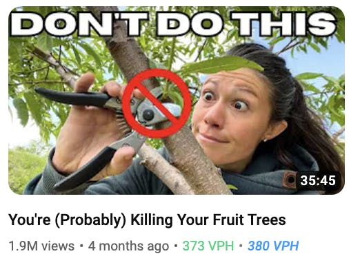 fruit trees thumbnail