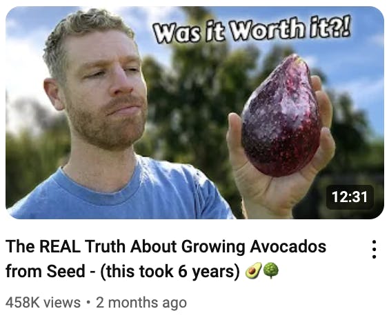 growing avocados thumbnail