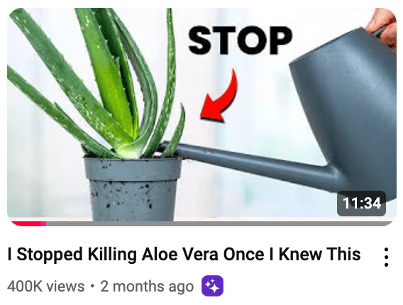 killing aloe vera thumbnail