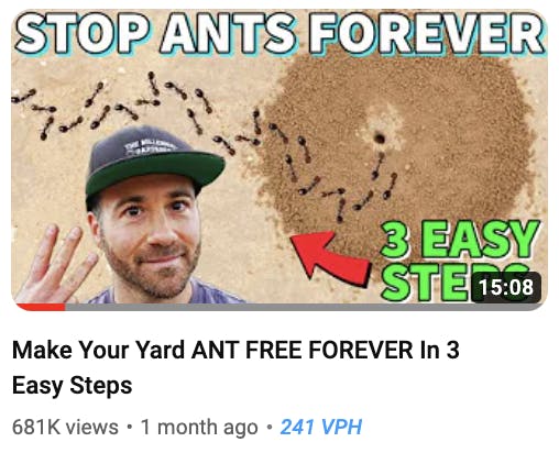 ant free thumbnail