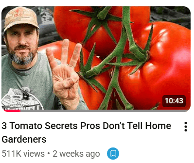 3 tomato secrets