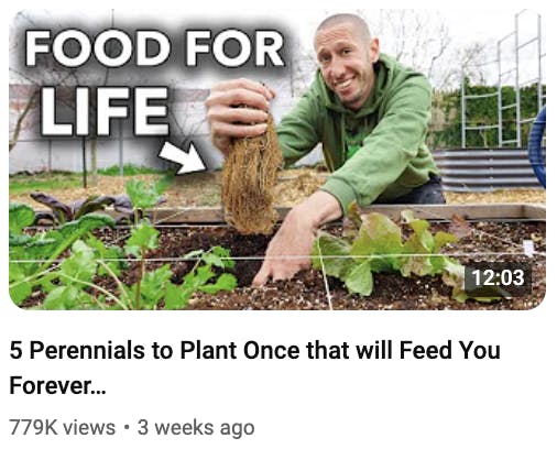 perennials thumbnail