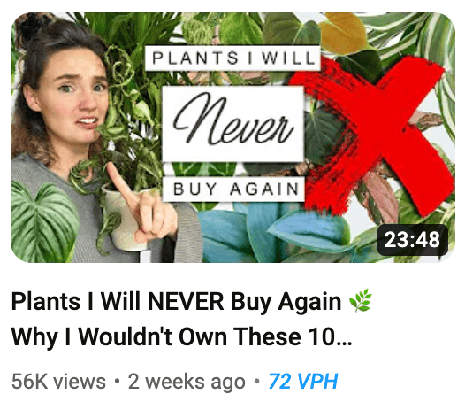 plants never buy again thumbnail