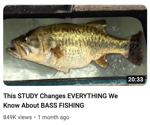 bass fishing thumbnail