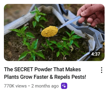 yellow powder in a spoon