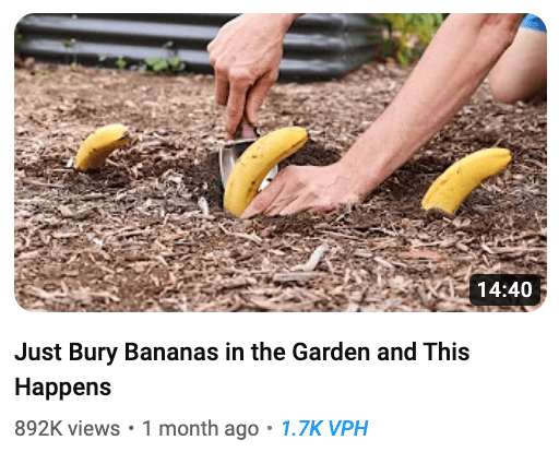 bananas thumbnail