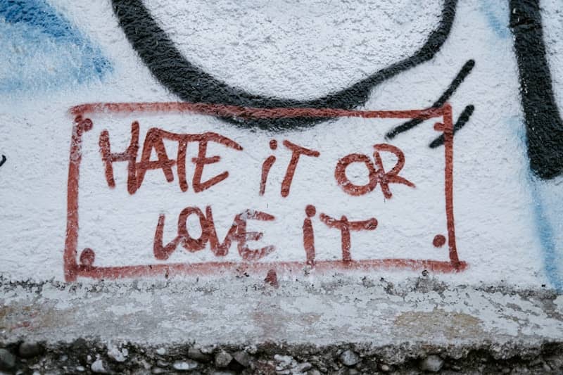 graffiti on a wall that says hate it or love it