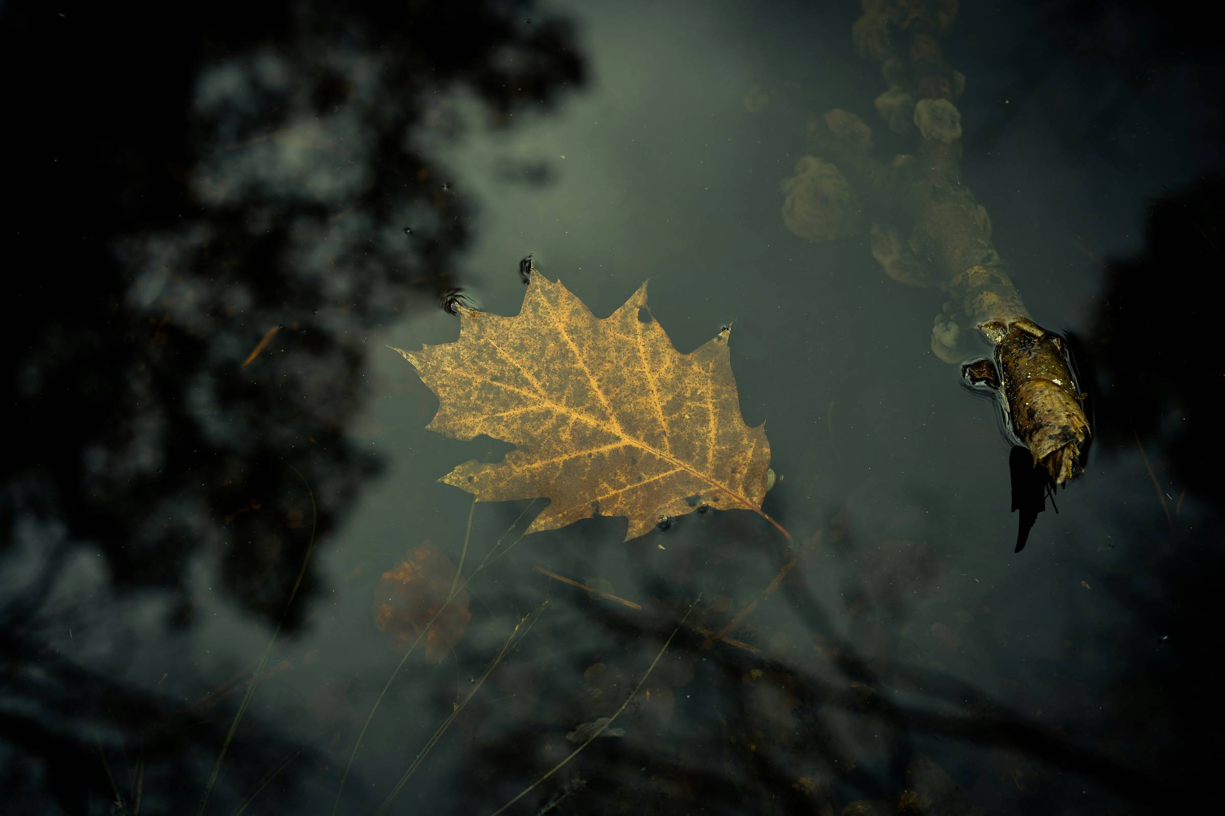 Photoed by Heike Trautmann @ Unsplash