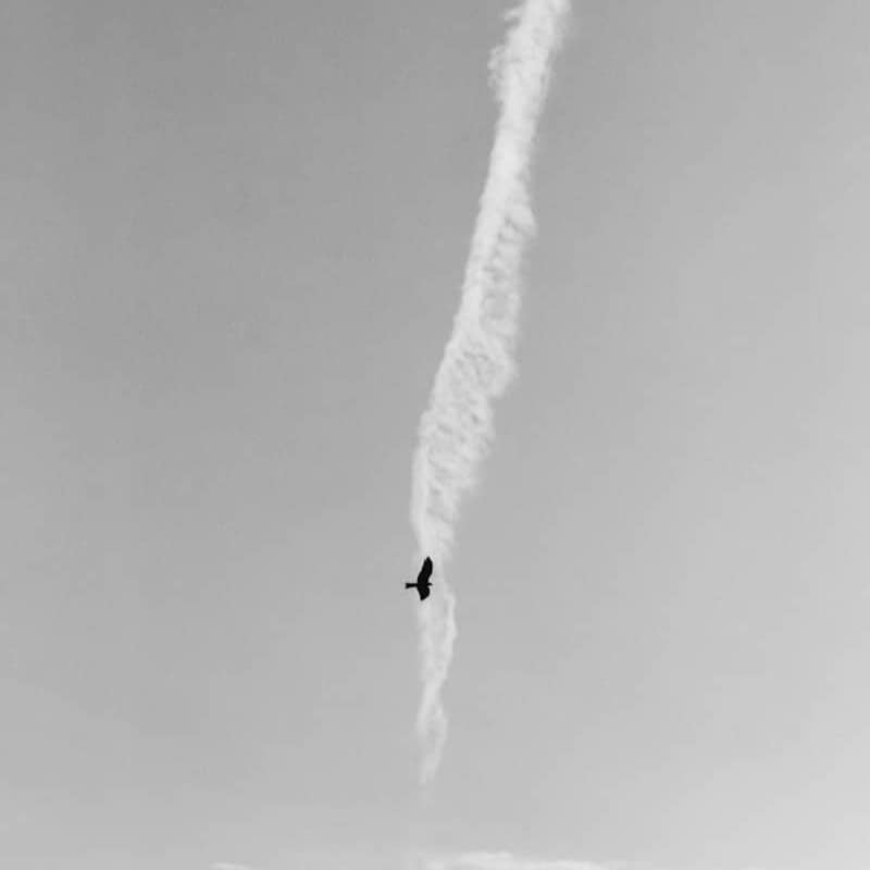 A black and white photo of a plane leaving a trail of smoke