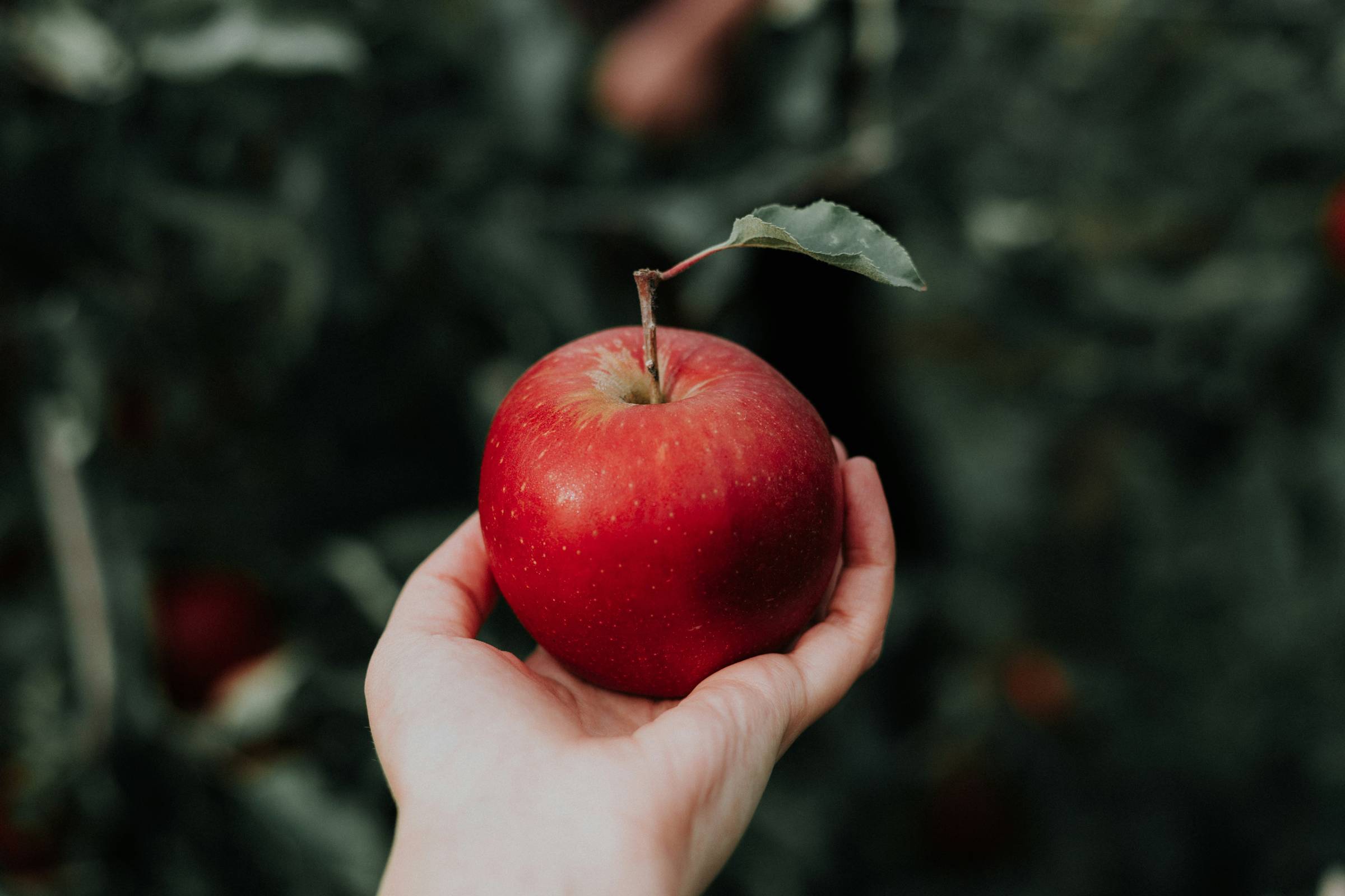A delicious apple
