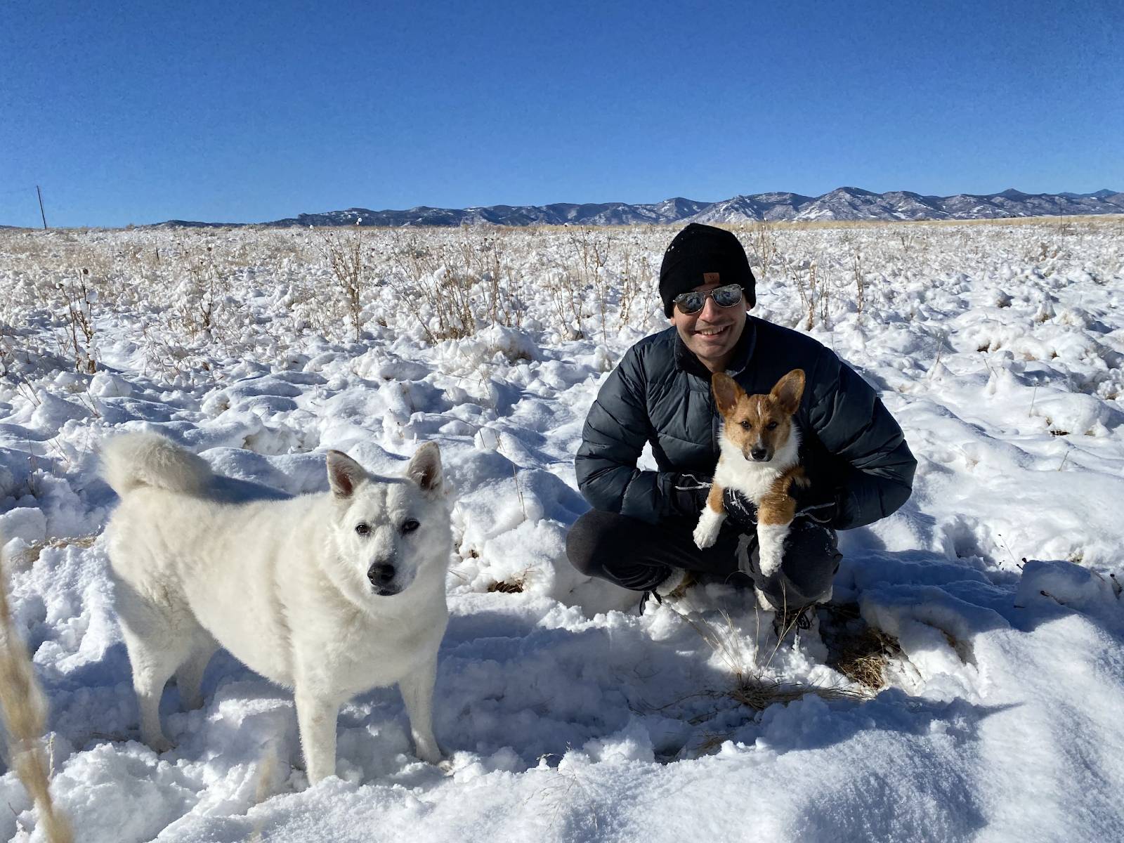 Me and my dogs