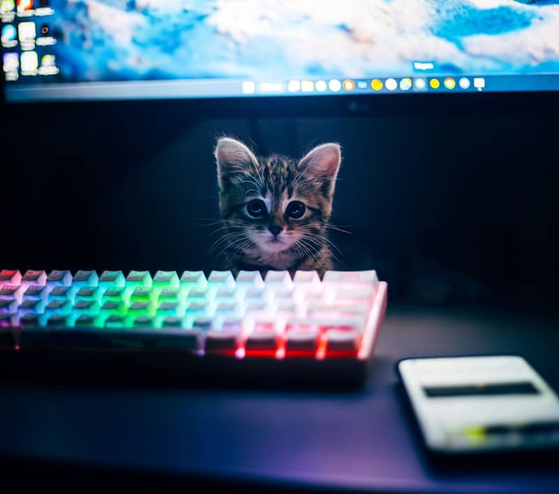 A cute kitten peeks over a keyboard.