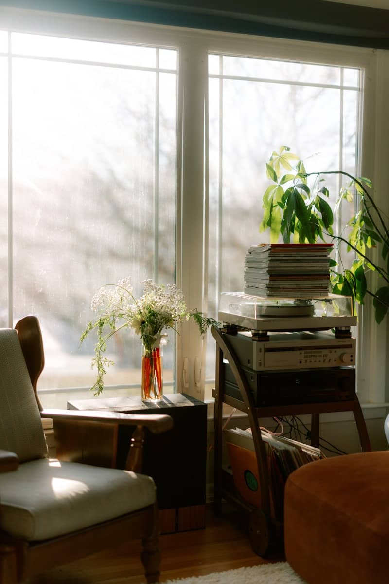 Cozy room with armchair and plants by window